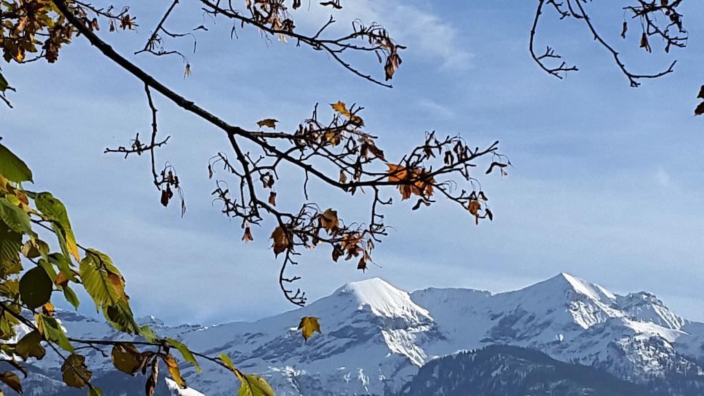 Oase Zum Sein Διαμέρισμα Spiez Εξωτερικό φωτογραφία